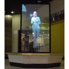 Protective Plastic Holographic Projection Film 120-150° View Angle Width Of 60''(1524 mm)